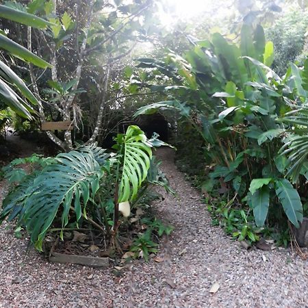 Iguana Roost Tourism Gold Standard Fully Equipped Two Bedroom Cabin San Ignacio Exterior photo