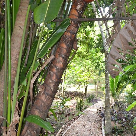 Iguana Roost Tourism Gold Standard Fully Equipped Two Bedroom Cabin San Ignacio Exterior photo