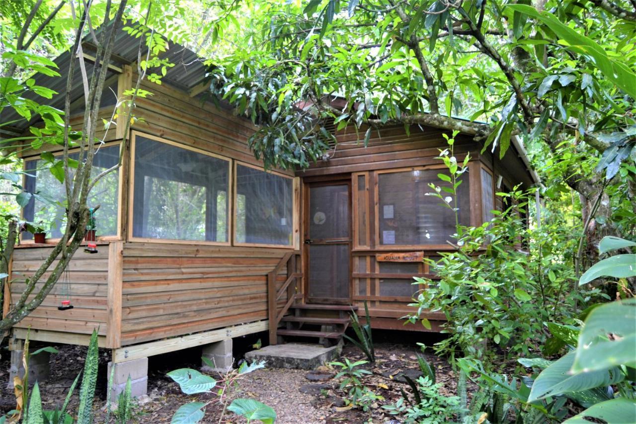 Iguana Roost Tourism Gold Standard Fully Equipped Two Bedroom Cabin San Ignacio Exterior photo