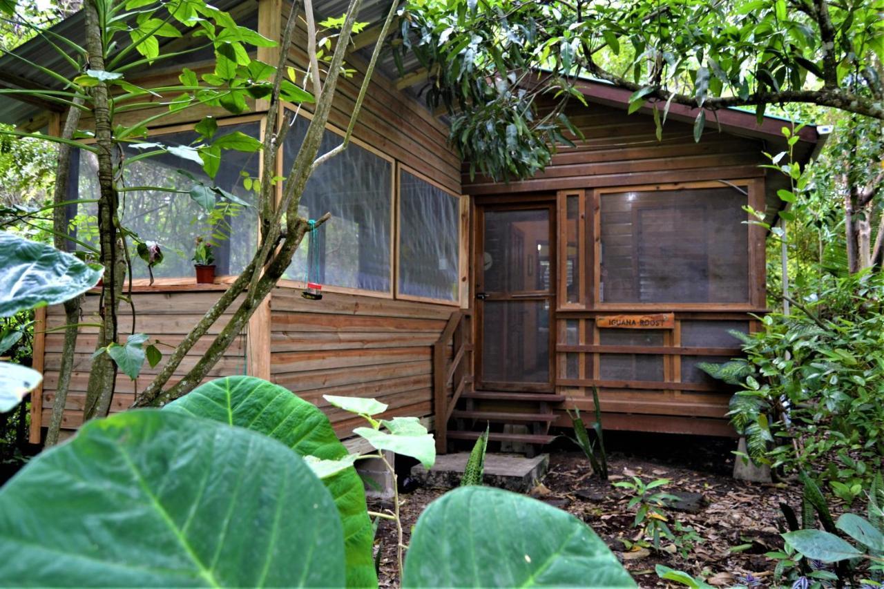 Iguana Roost Tourism Gold Standard Fully Equipped Two Bedroom Cabin San Ignacio Exterior photo