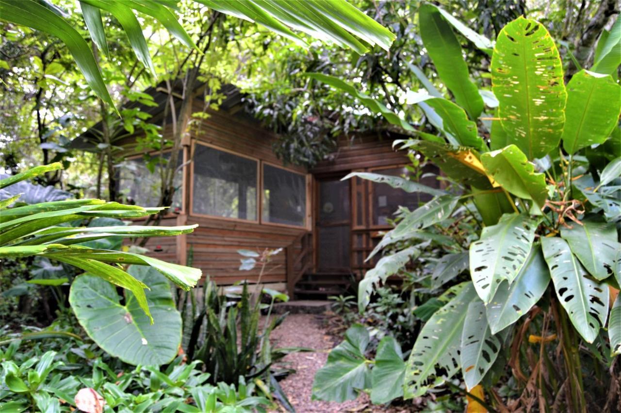 Iguana Roost Tourism Gold Standard Fully Equipped Two Bedroom Cabin San Ignacio Exterior photo