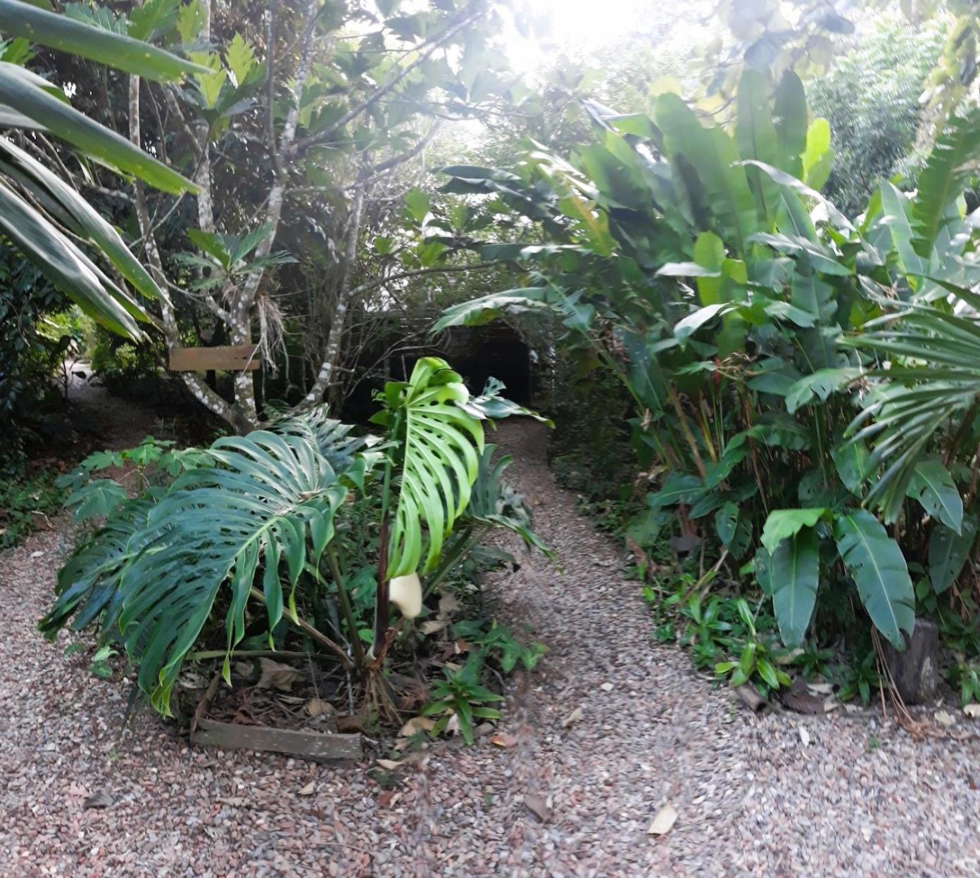 Iguana Roost Tourism Gold Standard Fully Equipped Two Bedroom Cabin San Ignacio Exterior photo