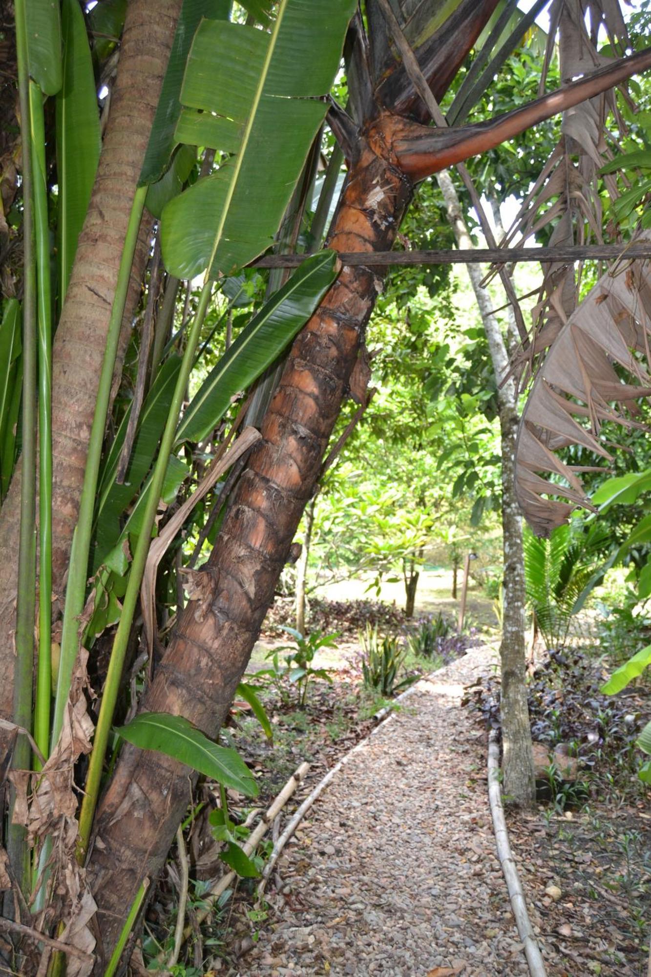 Iguana Roost Tourism Gold Standard Fully Equipped Two Bedroom Cabin San Ignacio Exterior photo